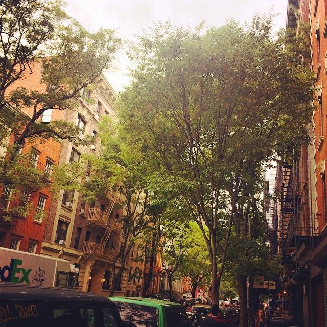 10731019_2222919092469_7667324626881474359_n