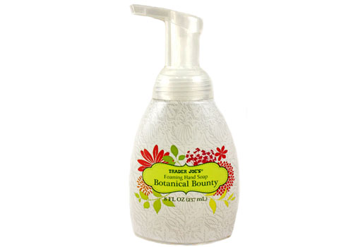 51387-botanical-foaming-hand-soap