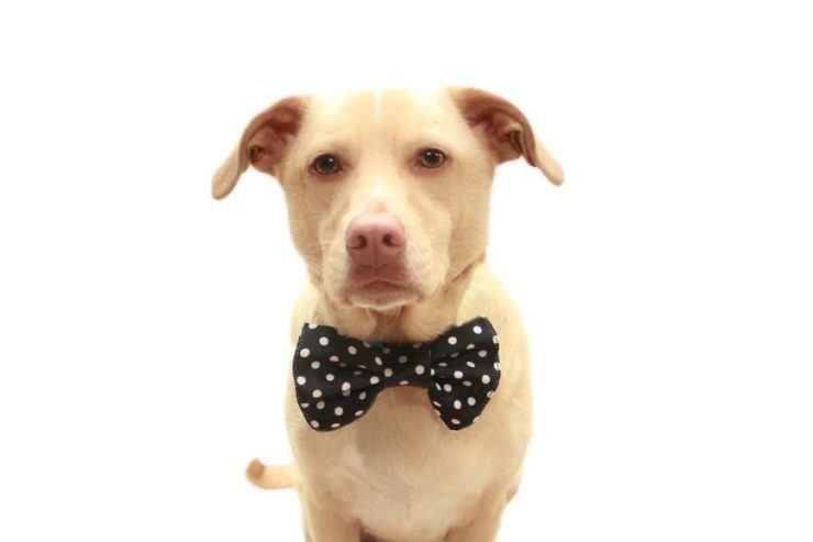 9861e8f7-9db0-4b13-b46c-f14eea4bb4d7